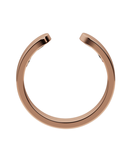 Luxe Ring® Ring 1st Gen